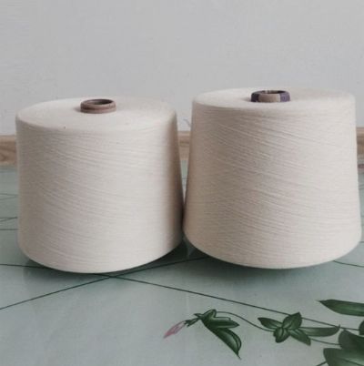 點擊查看詳細(xì)信息<br>標(biāo)題：緊密賽絡(luò)紡純棉紗 閱讀次數(shù)：2642