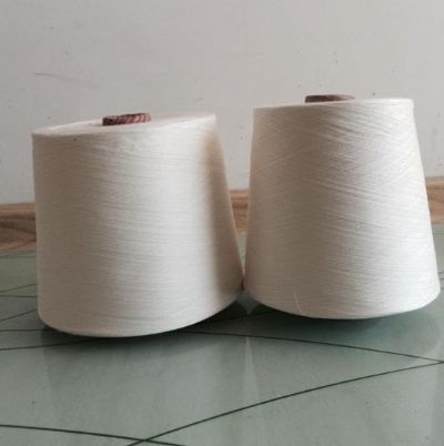 點擊查看詳細信息<br>標(biāo)題：賽絡(luò)紡竹纖維 閱讀次數(shù)：2736