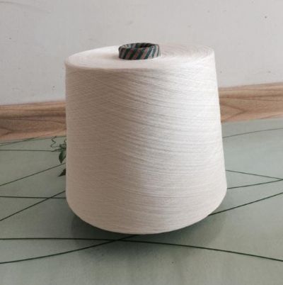 點擊查看詳細(xì)信息<br>標(biāo)題：G100天絲紗 閱讀次數(shù)：2893