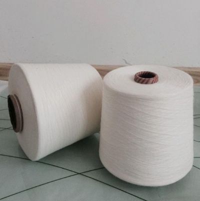 點(diǎn)擊查看詳細(xì)信息<br>標(biāo)題：腈綸粘膠混紡紗 閱讀次數(shù)：2757