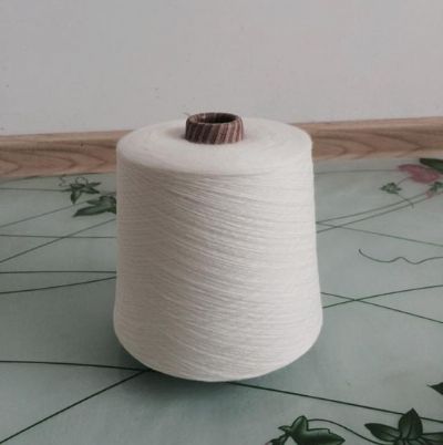點(diǎn)擊查看詳細(xì)信息<br>標(biāo)題：膨體腈綸紗 閱讀次數(shù)：2968