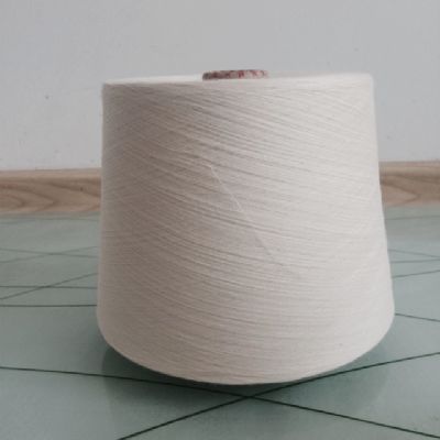 點擊查看詳細信息<br>標題：緊密賽絡紡竹纖維紗 閱讀次數：4385