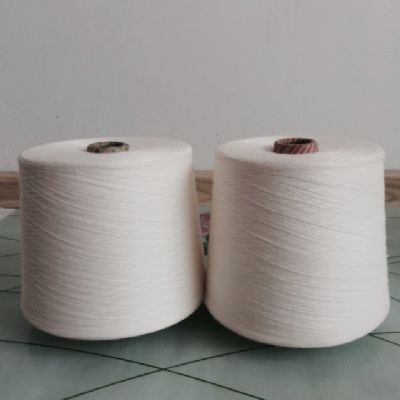 點(diǎn)擊查看詳細(xì)信息<br>標(biāo)題：阻燃腈綸紗 閱讀次數(shù)：4920