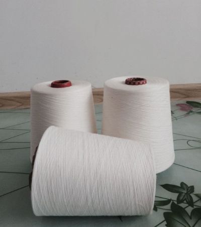 點擊查看詳細信息<br>標題：環(huán)錠紡滌綸紗 閱讀次數(shù)：9724