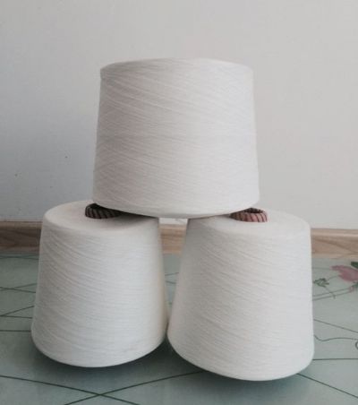 點(diǎn)擊查看詳細(xì)信息<br>標(biāo)題：阻燃滌綸紗 閱讀次數(shù)：4626