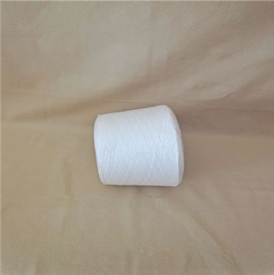 點擊查看詳細信息<br>標題：阻燃滌綸紗的功能介紹 閱讀次數(shù)：994